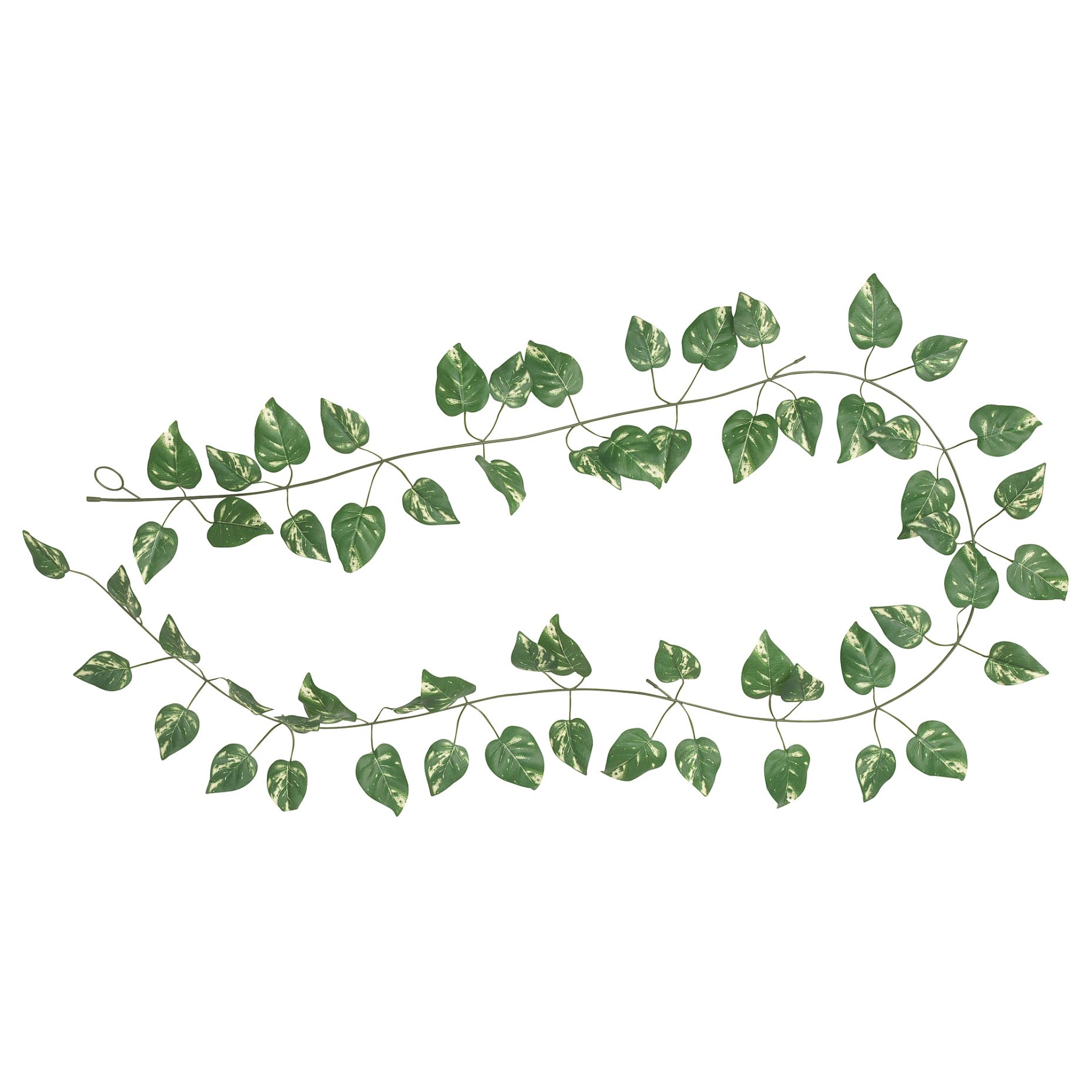 horizontal vine clipart greek